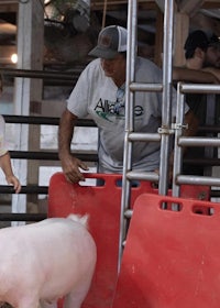 a man and a child standing next to a pig in a barn