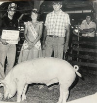 a group of people standing next to a pig